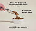 Open Farm Wild-Caught Salmon & Ancient Grain Dog Food 