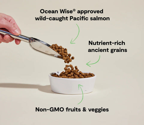 Open Farm Wild-Caught Salmon & Ancient Grain Dog Food 