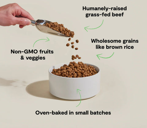 Open Farm Oven-Baked Goodbowl Grass-Fed Beef and Brown Rice Dog Food