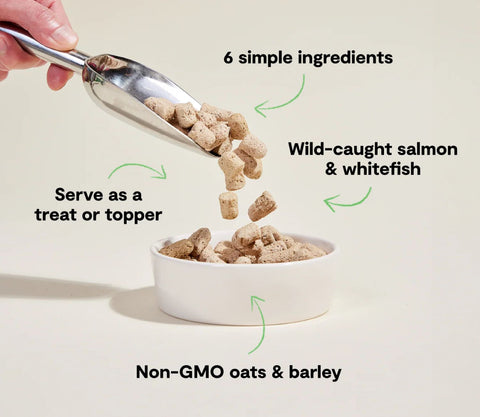 Open Farm Freeze-Dried Raw Goodbowl Wild-Caught Salmon Meal Topper