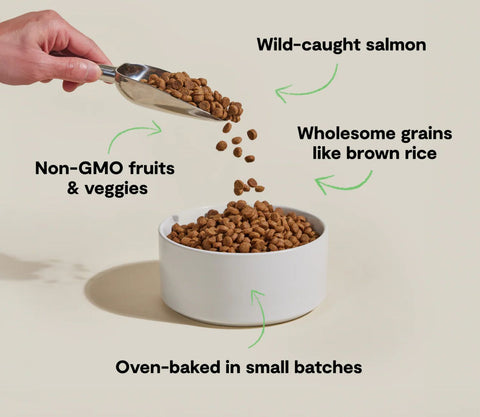 Open Farm Oven-Baked Goodbowl Wild-caught Salmon & Brown Rice Dog Food 