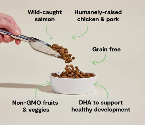 Open Farm grain-free puppy dog food with chicken and salmon kibble, showing a bowl of the Open Farm Puppy Kibble recipe.