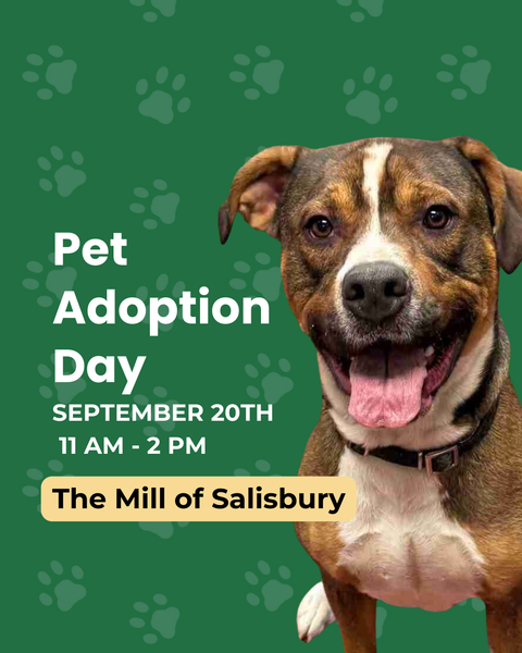 Pet Adoption Day at The Mill of Salisbury