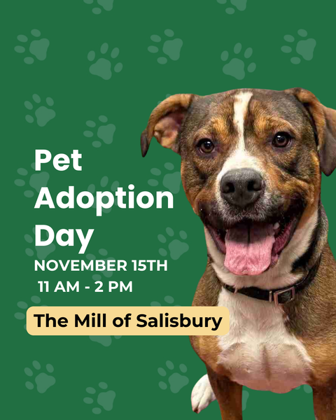 Pet Adoption Day at The Mill of Salisbury