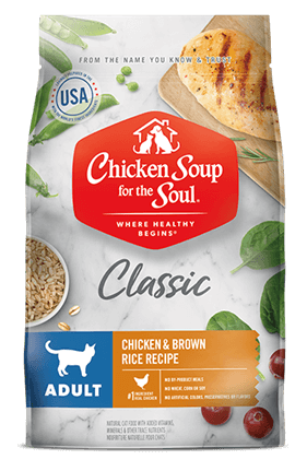 Chicken Soup for the Soul Adult Chicken and Rice Dry Cat Food