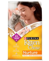 Purina Kitten Chow Dry Cat Food