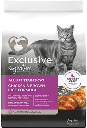 Exclusive Chicken and Rice All Life Stages Dry Cat Food