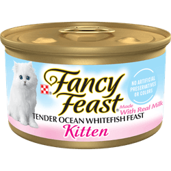 Fancy Feast Tender Ocean Whitefish Pate Canned Kitten Food