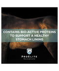 Horse body with ProElite banner for stomach supplement