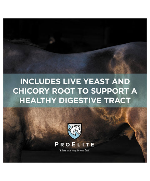 horses body with ProElite banner for helathy digestion