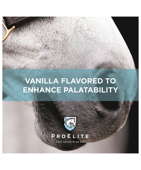 Proelite Topline Advanced Support vanilla flavored  banner over a horse's gray muzzle