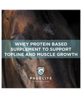 Horse face with ProElite banner for Topline Xreme