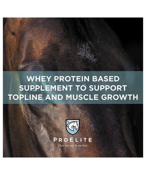 Horse face with ProElite banner for Topline Xreme