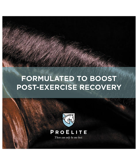 ProElite Topline Xtreme banner over a horse neck