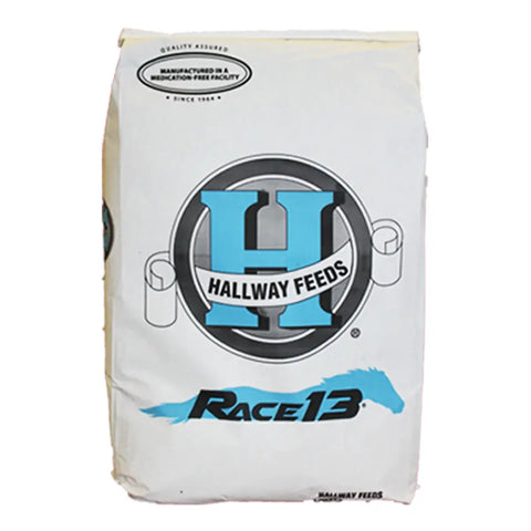 Hallway Feeds Race 13 Horse Feed