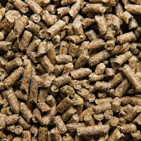 BUCKEYE™ Nutrition SAFE ‘N EASY™ Performance Horse Feed