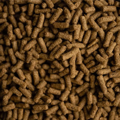 BUCKEYE™ Nutrition SAFE ‘N EASY™ Senior Horse Feed