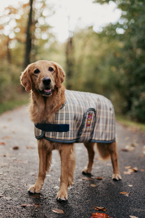 5/A Baker® Insulated Dog Blanket with Waterproof Ripstop Shell