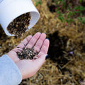 Botanical Interests Precious Pollinators flower mix seed shaker held in a hand, showcasing colorful flower seeds for planting