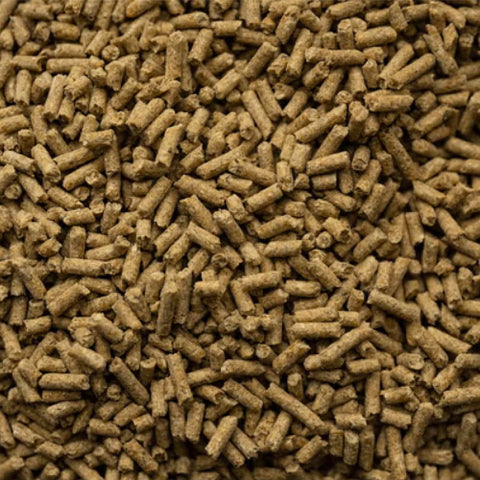 BUCKEYE™ Nutrition Senior Balancer Horse Feed