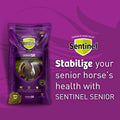 Blue Seal Sentinel Senior Horse Feed bag showing the product label and branding for senior horse nutrition.