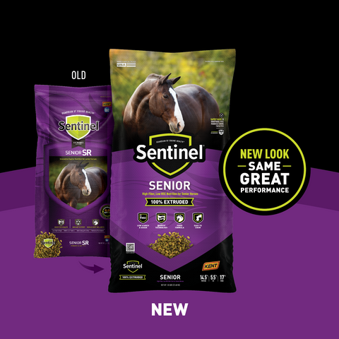 Blue Seal Sentinel Senior Horse Feed bag showing extruded horse feed designed for senior horses.