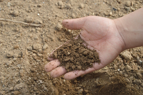 A hand picking up loose dirt