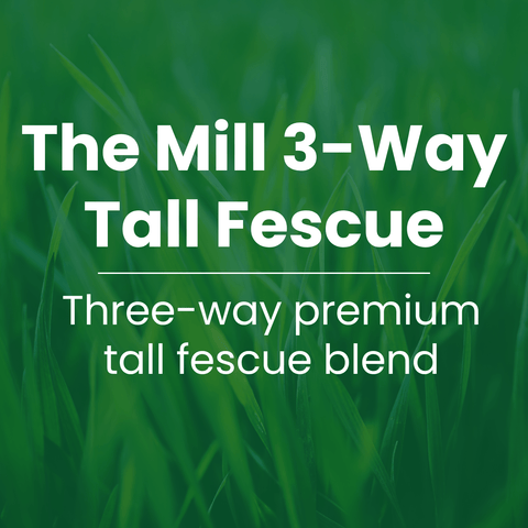 The Mill 3-Way Tall Fescue erosion control grass seed mix with barley, ryegrass, and tall fescue for turf lawn establishment.