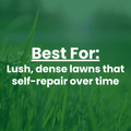 The Mill Athletic Mix erosion control grass seed mix with barley, ryegrass, and tall fescue for turf lawn establishment.