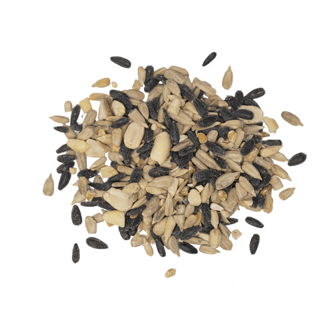 Chickadee Nuthatch Seed Pile