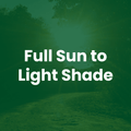 Text overlay: Full Sun to Light Shade.
The Mill Contractorsd Mix erosion control grass seed mix with barley, ryegrass, and tall fescue for turf lawn establishment.