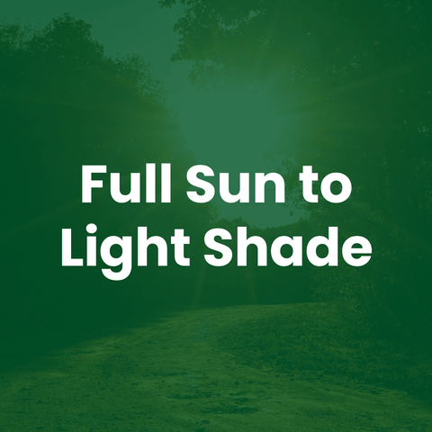 Text overlay: Full Sun to Light Shade.
The Mill Contractorsd Mix erosion control grass seed mix with barley, ryegrass, and tall fescue for turf lawn establishment.