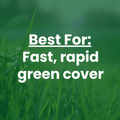Text overlay: Best for:  Fast, rapid green cover.
The Mill Contractorsd Mix erosion control grass seed mix with barley, ryegrass, and tall fescue for turf lawn establishment.