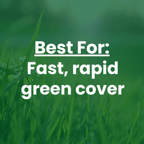 Text overlay: Best for:  Fast, rapid green cover.
The Mill Contractorsd Mix erosion control grass seed mix with barley, ryegrass, and tall fescue for turf lawn establishment.