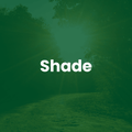 The Mill Dense Shade Mix grass seed
Text overlay: Shade