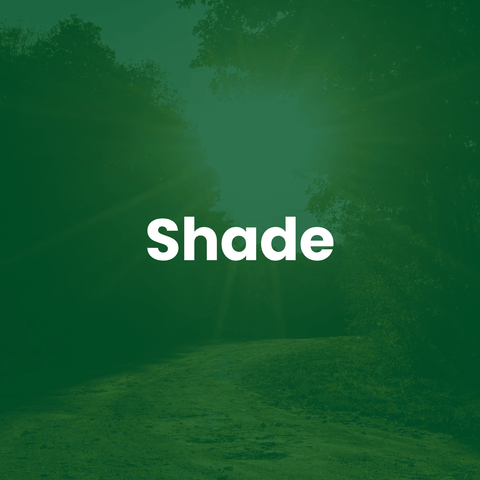 The Mill Dense Shade Mix grass seed
Text overlay: Shade