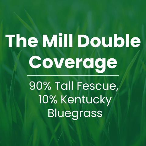Text overlay:
The Mill Double Coverage: 90% tall fescue, 10% Kentucky Bluegrass