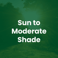 The Mill Double Coverage Mix grass seed 
Text overlay: Sun to Moderate Shade