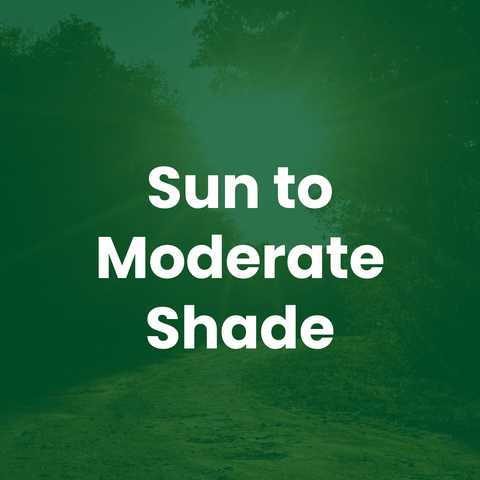 The Mill Double Coverage Mix grass seed 
Text overlay: Sun to Moderate Shade