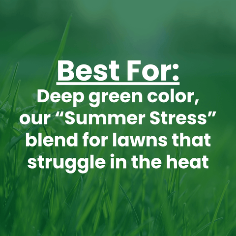 A green lawn background with large white text reading “Best For: Deep green color, our ‘Summer Stress’ blend for lawns that struggle in the heat.”.