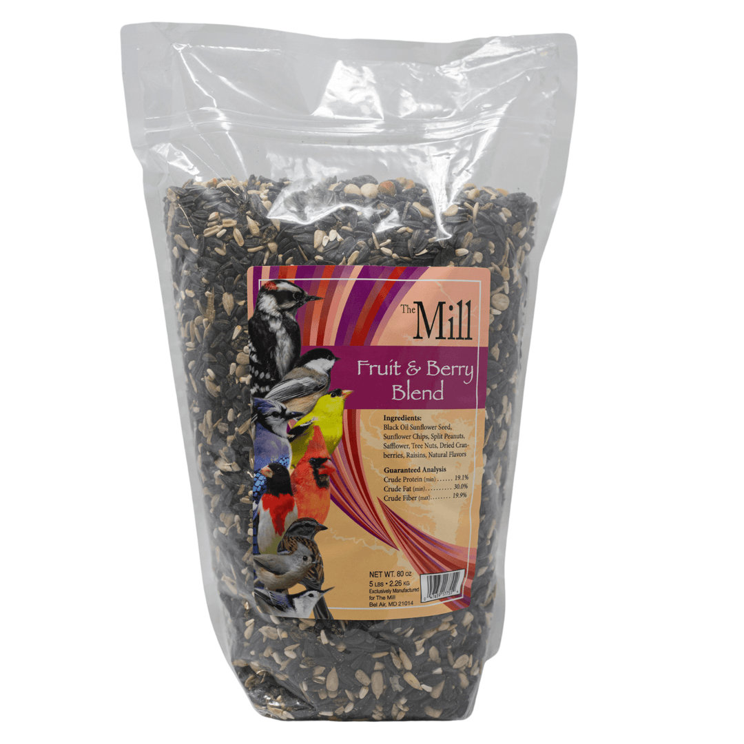 Wild Bird Seed Collection for Brightening Your Garden | The Mill