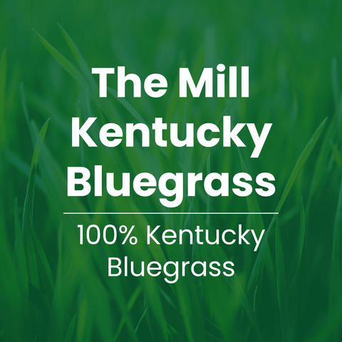 A green grass background with large white text reading 'The Mill Kentucky Bluegrass' and smaller text below reading '100% Kentucky Bluegrass.'.