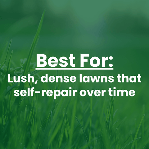 A green grass background with white text reading 'Best For: Lush, dense lawns that self-repair over time'.