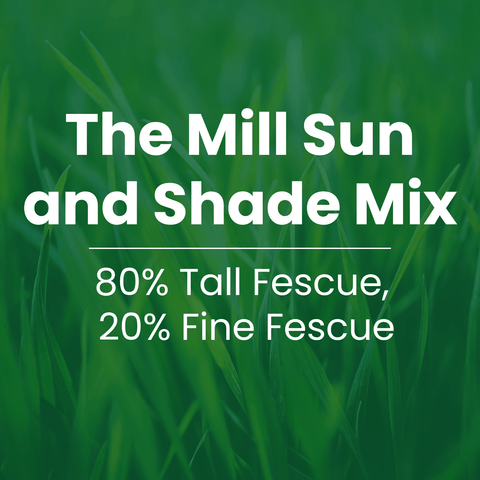 Text reading 'The Mill Sun and Shade Mix' and '80% Tall Fescue, 20% Fine Fescue' over a blurred green grass background.