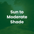 A green outdoor scene with a sunlit path and trees, overlaid with the text 'Sun to Moderate Shade' in large white letters.