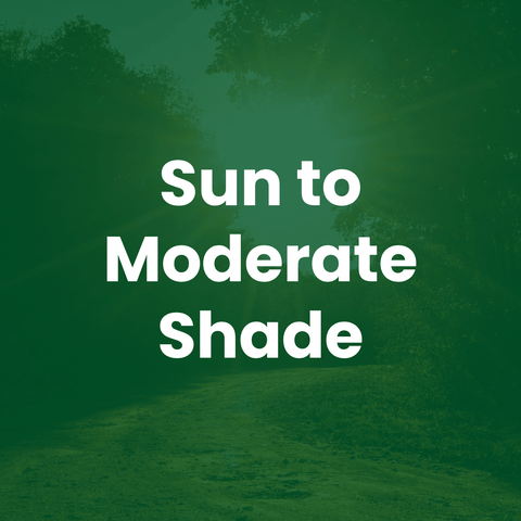 A green outdoor scene with a sunlit path and trees, overlaid with the text 'Sun to Moderate Shade' in large white letters.