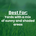 A green grassy background with white text reading 'Best For: Yards with a mix of sunny and shaded areas'.