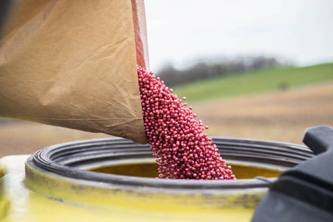 Seed being put into a planter