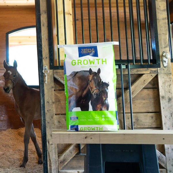 Triple Crown Growth Horse Feed The Mill Bel Air, Black Horse, Red