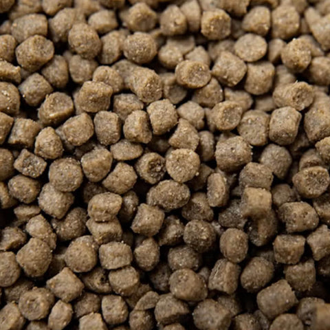 BUCKEYE™ Nutrition ULTIMATE FINISH™ 25 Horse Supplement